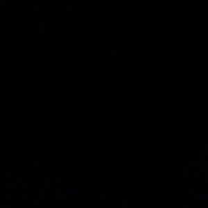 Meet your Posher, Perla